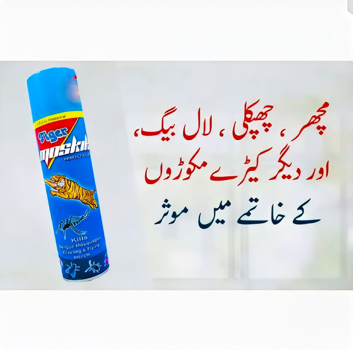 A blue can of Tiger Mosquito Killer spray with a tiger illustration, shown next to red and black Urdu text on a white background.