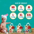 Rocket Premium Diaper Size 3 Medium 36 Diapers